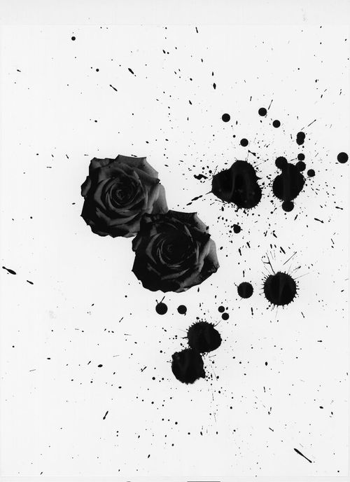 julieagashiwala's profile picture. Fashion showroom in New York, Kempton&Co, Porter, Feiyue, TerraNewYork, MarcAlary, GoldenHook, UnknownSoldier