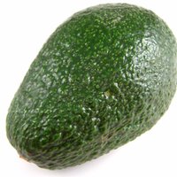 Dinsdale Piranha (@dinsdalep13) 's Twitter Profile Photo