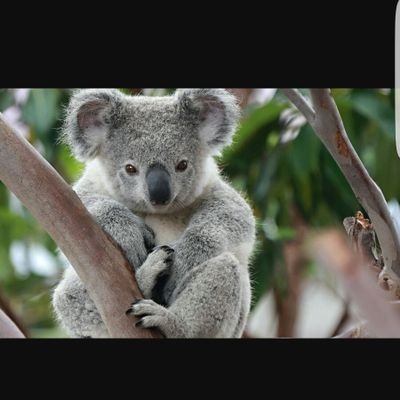 yomsadenaike's profile picture. A.K.A M10 , MAD. Z , unerscore teddybear , SQWOD