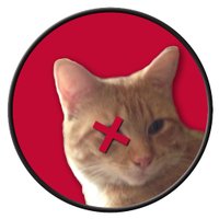 First Dept. (@firstdept) 's Twitter Profile