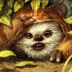 Ewokns Profile Picture