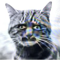 Kay H. Turner (@kayhturner) 's Twitter Profile