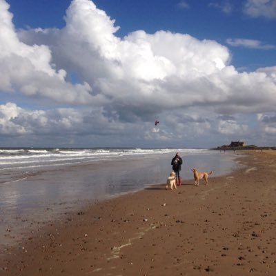 Dogs & beaches, running, sailing, music, reading, Belinda and my boys