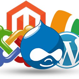 CheximL's profile picture. One Stop Shop for Web Design, Development & Hosting. And we are experts in Wordpress, UI Websites, Mobile Apps, Branding, Logo & Brochure Design.