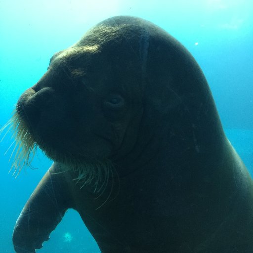 P7H6ME's profile picture. 