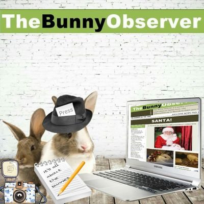 The Bunny Observer is a weekly community paper about us Twitter buns. Use @BunnyObserver or #bunob to share your news.
Blog for rescues 
https://rabbitrescuesby