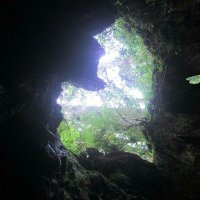 caRAVan (@blue_dial) 's Twitter Profile