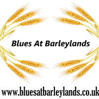 Blues At Barleylands(@barleylandblues) 's Twitter Profile Photo