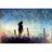 batool80800's profile image