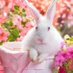 うさぎ🐰毛穴撲滅運動 (@k_qrw) Twitter profile photo うさぎ🐰毛穴撲滅運動 (@k_qrw) Twitter profile photo