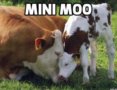 loveveggieplate's profile picture. “Of all the animals, man is the only one that is cruel. He is the only one that inflicts pain for the pleasure of doing it.” Mark Twain.