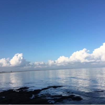 dritanbebri's profile picture. Life is good