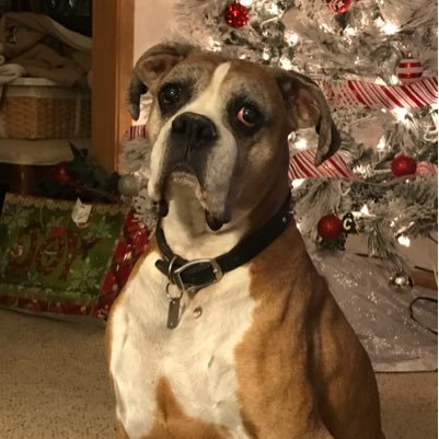 floyd_mccune's profile picture. 