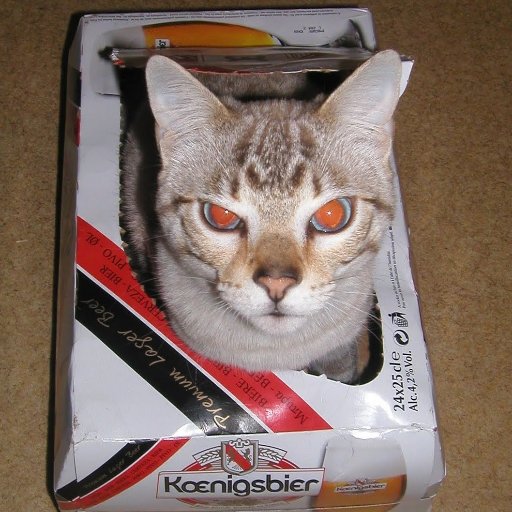 abarachant's profile picture. 