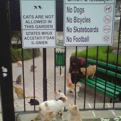 Triflingtrill's profile picture. . Composit IDs