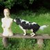 Sue Edwards (@sueedwa37473970) Twitter profile photo Sue Edwards (@sueedwa37473970) Twitter profile photo