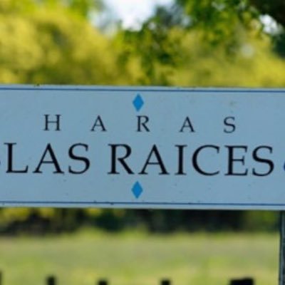 Somos un haras dedicado a la cría del caballo sangre pura de carrera bajo los más altos indices de calidad genética y ambiental.