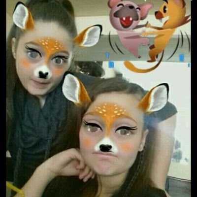 WTF2024's profile picture. 