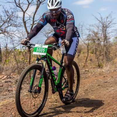 terrytingote's profile picture. 