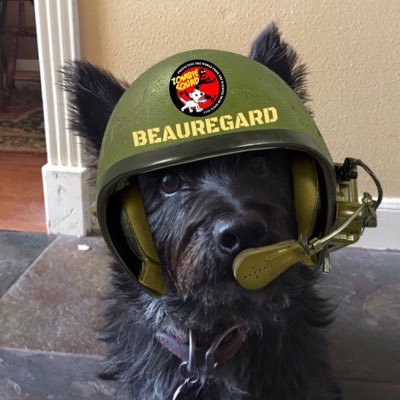 Colonelcairn's profile picture. Leading the Canine Army to seek out and destroy varmints everywhere. Currently attending basic in #ZSHQ