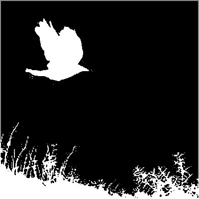 sophiekarlis's profile picture. Writer | Autorin 📖📚