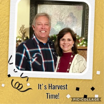 CarrollChip's profile picture. 