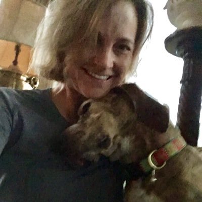 campcammie's profile picture. Formerly quiet liberal tweeter ready to squawk