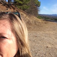 Donna E. Fennell (@donnaefennell) 's Twitter Profile Photo