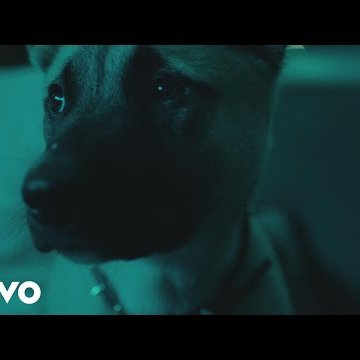 IrvinVilla389's profile picture. FOLLOW FOR A FOLLOW!!