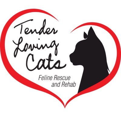 TLC, Inc. is a nonprofit, no-kill feline rescue, concentrating on reducing L.I.'s community cat population through TNR & the rehab of cats/kittens for adoption.