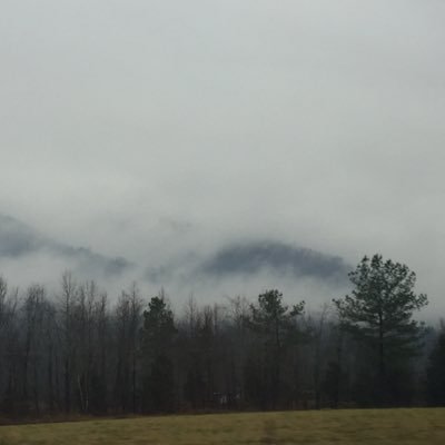 Suppas_'s profile picture. Please make me laugh