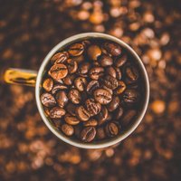 Carbonated Coffee (@carbonatedcoffe) 's Twitter Profile