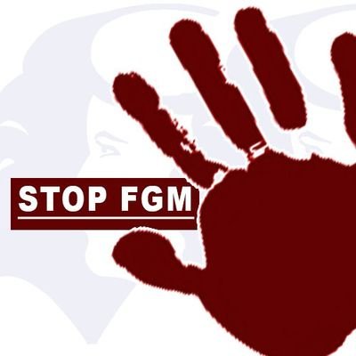 We are 15 Somali youths who stand up to end FGM and child marriage across Somalia. contact: info@stopfgm.so