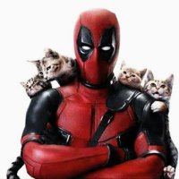 77Deadpool77(@77Deadpool77) 's Twitter Profile Photo