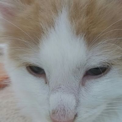 fwgk5362's profile picture. 