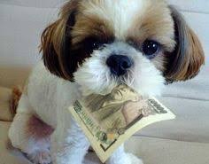 rupiyaah's profile picture. let's talk about money