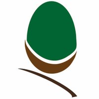 Acorn Scaffolding (@acornscaffold) 's Twitter Profile