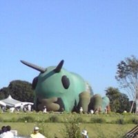 Allison (@22chisato) 's Twitter Profile Photo Allison (@22chisato) 's Twitter Profile Photo