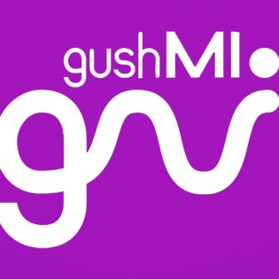 Gushmi LLC