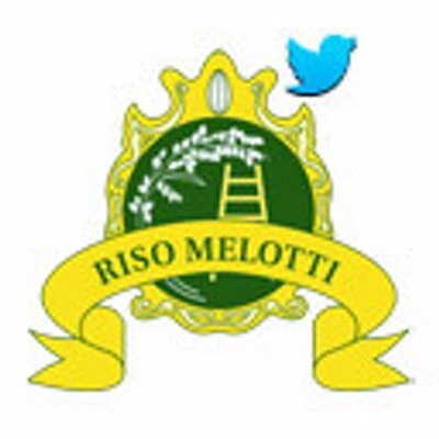 RisoMelotti Profile Picture