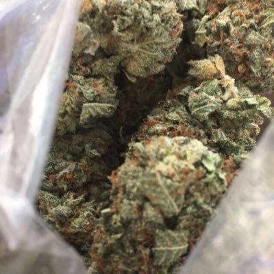 kushclouds20071's profile picture. Smokin da good Kush 🍁🔥💨