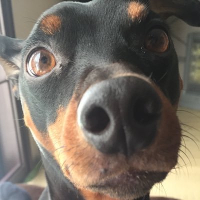 KUYReeeeN's profile picture. 