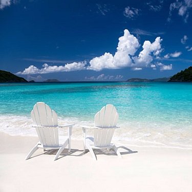 lovethecoast's profile picture. 