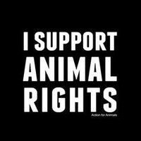 Animal Rights (@ispeakforanimal) 's Twitter Profile