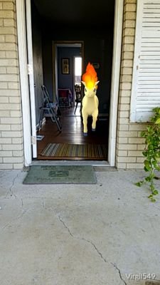 LynnGay201's profile picture. Happily married and over the hill