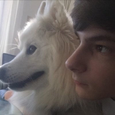 CollinMantello's profile picture. #FinsUp