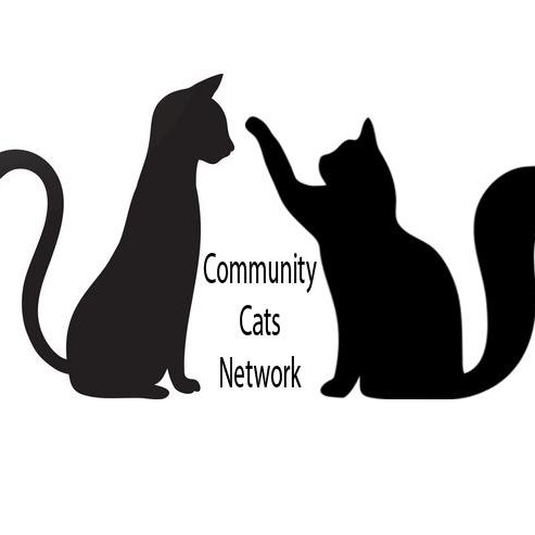 Community Cats Network is an organisation committed to the welfare of all cats in the community. https://t.co/MUbj8BYKZd