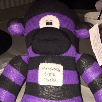 ynysmonmonkey's profile picture. Monkey of human @AngleseyScmedia - assisting him to promote #RoR17 @angleseycircuit and sharing @Missionmotorspt @MM_RoR stuff, promoting #RoR since April 2014