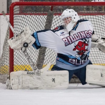 chayo_goodwin37's profile picture. 