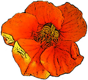 EcoYourself is your new source for living green in today’s world! EcoYourself is dedicated to making green living personal and within your means.